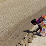 En cas de fortes chaleurs, l'insécurité alimentaire peut arriver en quelques jours parce que les gens ne peuvent pas travailler, ne gagnent pas d'argent et n'ont donc pas les moyens de s'acheter à manger, selon une étude publiée lundi. (image symb...